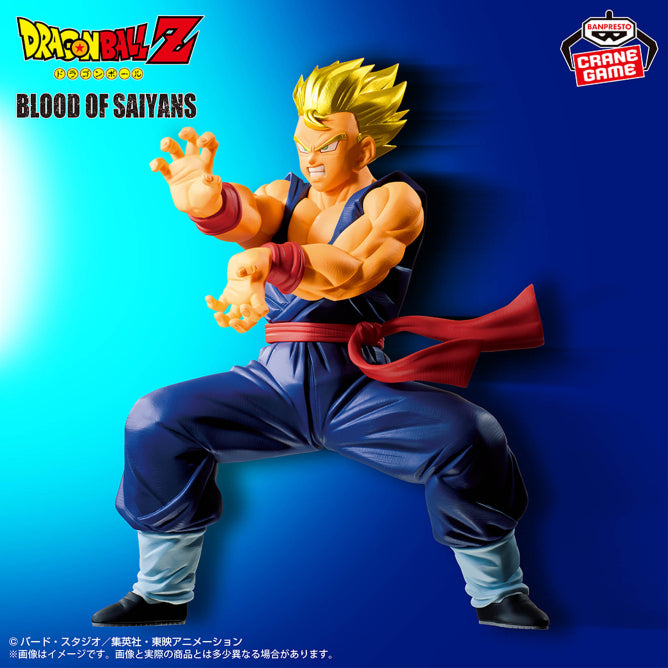 Son Gohan Super Saiyan 2 (Kamehameha Familiale) - Blood Of Saiyans