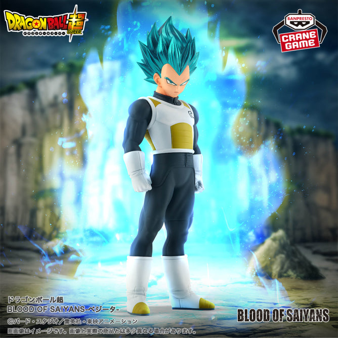 Vegeta Super Saiyan Blue - Blood Of Saiyans